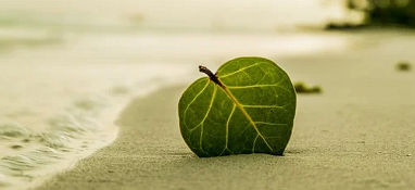 生態(tài)環(huán)境部：加強“三水”統(tǒng)籌、陸海聯(lián)動，深入打好碧水保衛(wèi)戰(zhàn)！