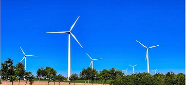 “兩高”項目盲目發展有哪些表現？看中央生態環保督察怎么說