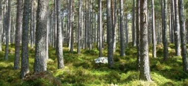 2022年環(huán)境專項執(zhí)法已經開始！這些企業(yè)是檢查重點！